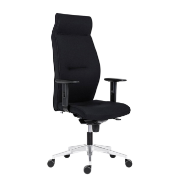 Fekete, ergonomikus irodai szék magas háttámlával és állítható karfákkal, ideális non-stop ülőmunka kényelmes támogatásához.
