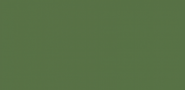 RAL 6011