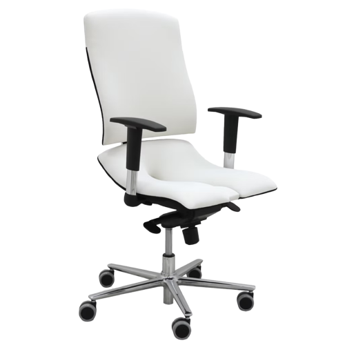 Ergonomikus irodai szék - Standard